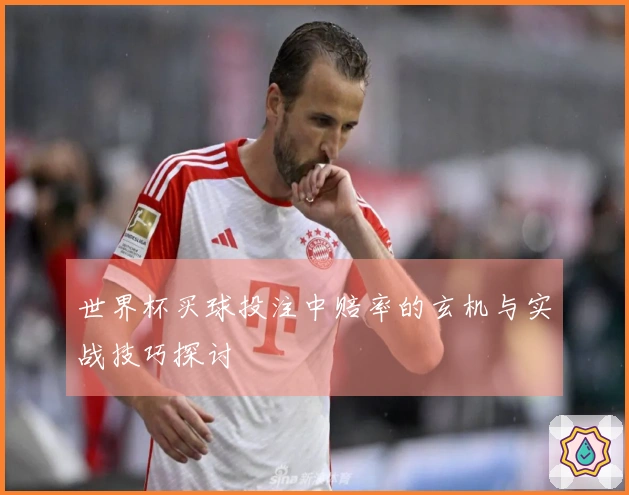 世界杯买球投注中赔率的玄机与实战技巧探讨
