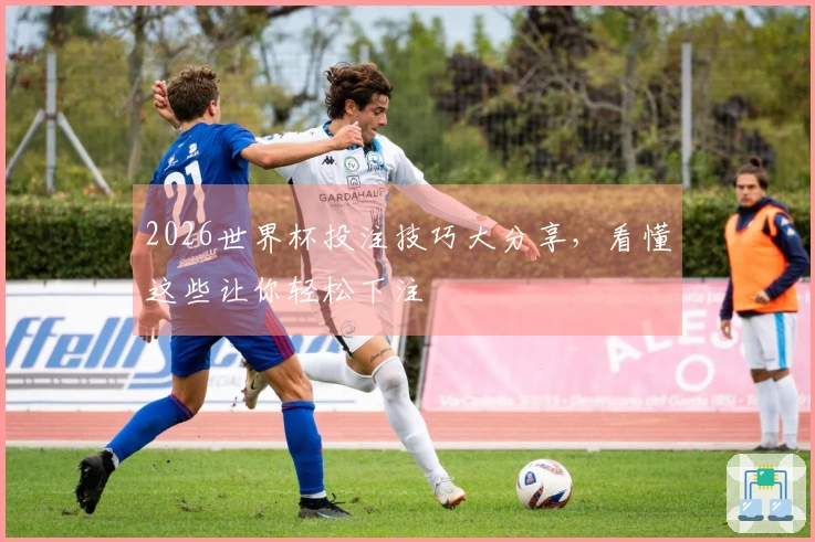 2026世界杯投注技巧大分享，看懂这些让你轻松下注