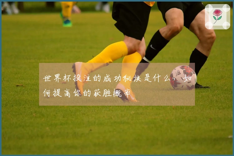 世界杯投注的成功秘诀是什么，如何提高你的获胜概率