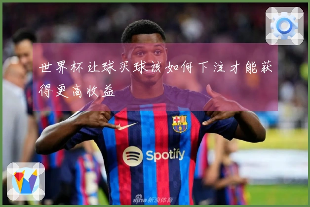世界杯让球买球该如何下注才能获得更高收益