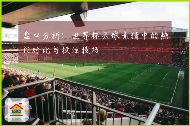 盘口分析：世界杯买球竞猜中的热门对比与投注技巧