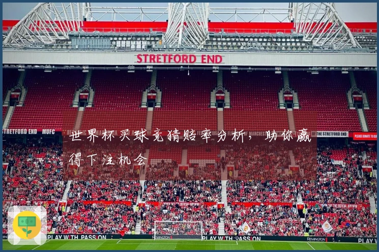 世界杯买球竞猜赔率分析,助你赢得下注机会