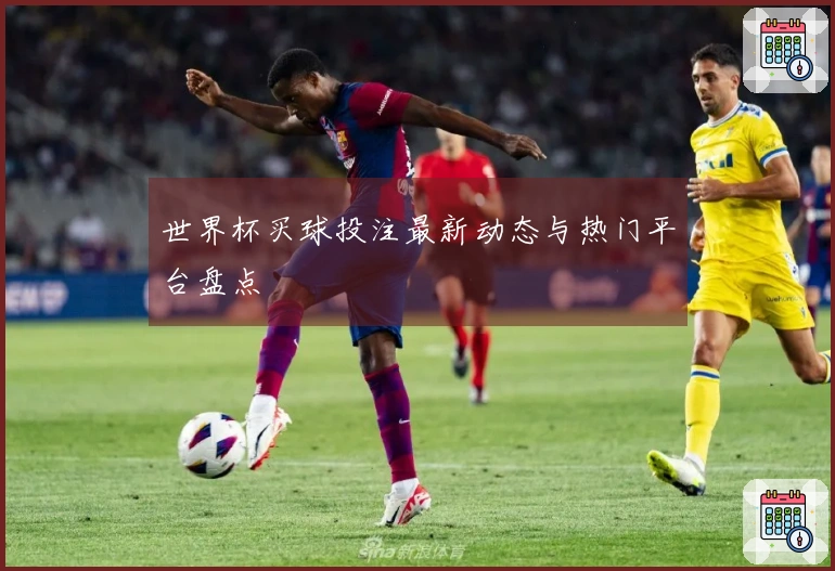 世界杯买球投注最新动态与热门平台盘点