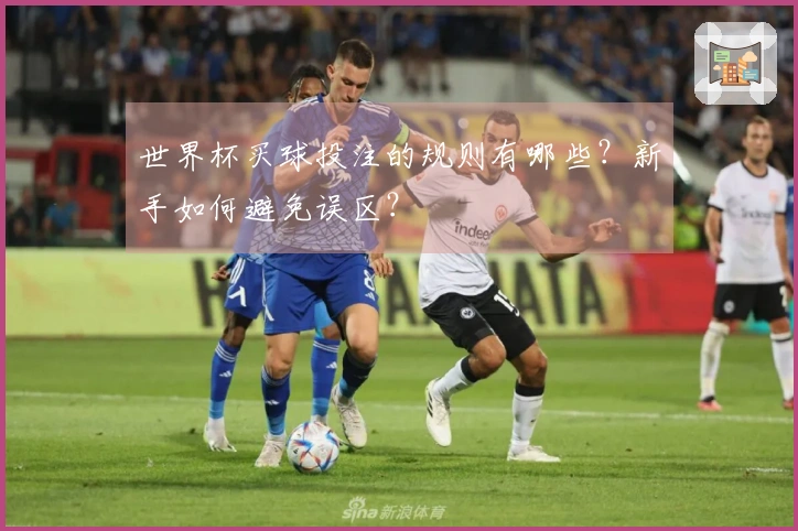 世界杯买球投注的规则有哪些？新手如何避免误区？