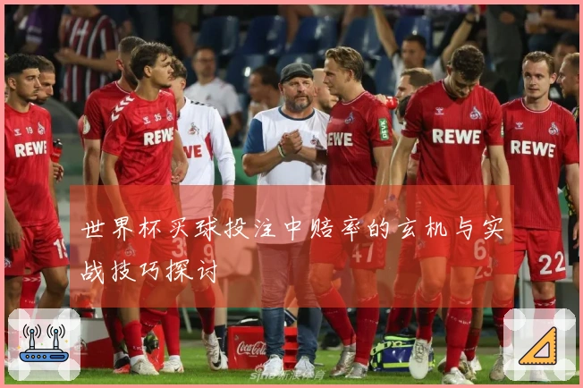 世界杯买球投注中赔率的玄机与实战技巧探讨