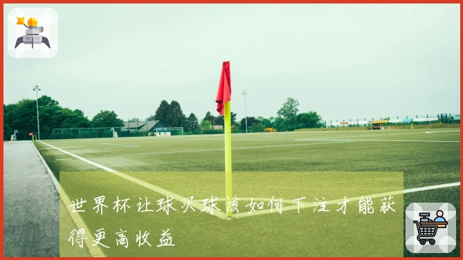 世界杯让球买球该如何下注才能获得更高收益